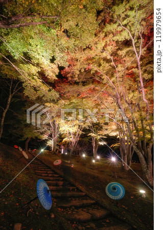 福島県猪苗代町　土津神社の紅葉ライトアップ 119979654