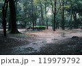 雨の日の森林公園 119979792