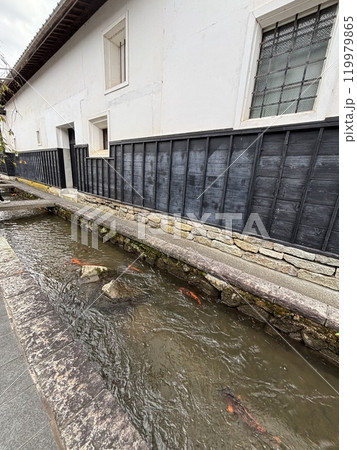 飛騨古川 古い街並みと水路のコイ 飛騨古川 古い街並みと水路のコイ 119979865