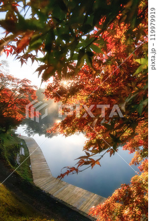 福島県　紅葉真っ盛りの五色沼湖群　毘沙門沼 119979919