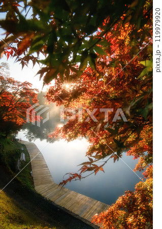 福島県　紅葉真っ盛りの五色沼湖群　毘沙門沼 119979920