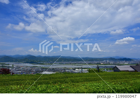 ふじのくに茶の都ミュージアム 大井川の風景 ふじのくに茶の都ミュージアム 大井川の風景 119980047