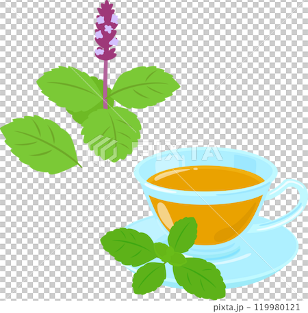 Tulsi leaves and tulsi tea 119980121