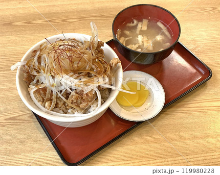 北海道名物ザンギ丼　ザンギ丼、から揚げ丼　唐揚げ丼 119980228