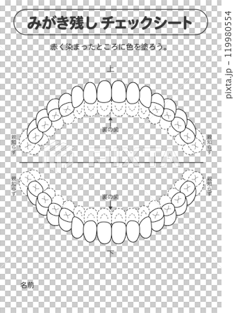 白黒 永久歯列期の磨き残しチェックシート　染め出しイラスト 119980554