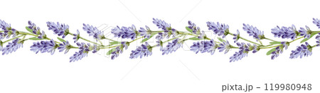 Lavender seamless border element watercolor illustration. Natural organic herbs mixed in elegant ornament. Hand drawn lavender flowers in elegant seamless border isolated on white background 119980948