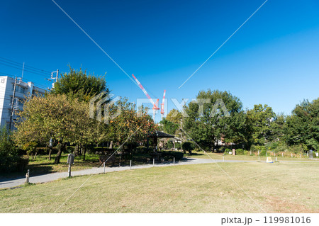 前原公園（とんぼ池公園）　広大な敷地　秋晴れの青空　東京都狛江市西野川 119981016