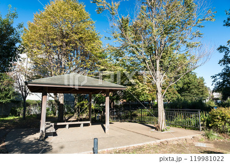 前原公園（とんぼ池公園）の休憩処　秋晴れの青空　東京都狛江市西野川 119981022