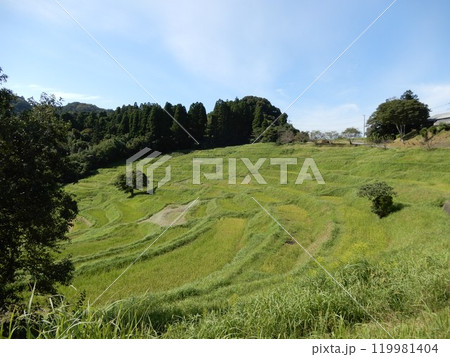 稲刈りも終わった秋の千葉県鴨川市大山千枚田 稲刈りも終わった秋の千葉県鴨川市大山千枚田 119981404