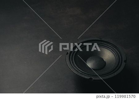Black audio loudspeaker Black audio loudspeaker 119981570