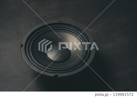 Black audio loudspeaker Black audio loudspeaker 119981572