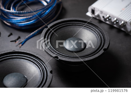 Black audio loudspeaker 119981576