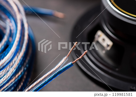 Copper speaker cable 119981581