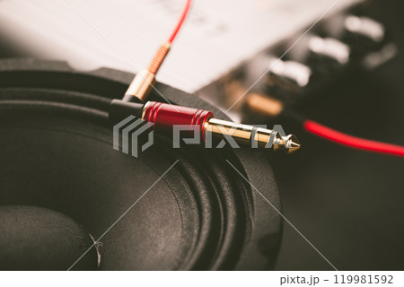 Red AUX cable 119981592