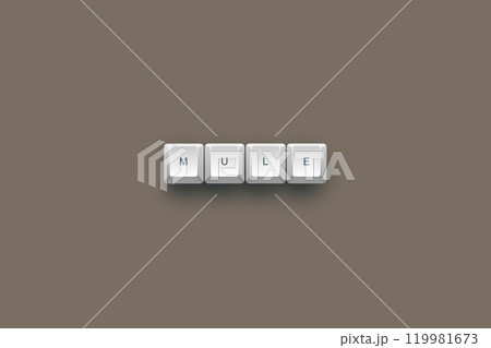 Mule text on a 3d keyboard button with shadow concept series Mule text on a 3d keyboard button with shadow concept series 119981673