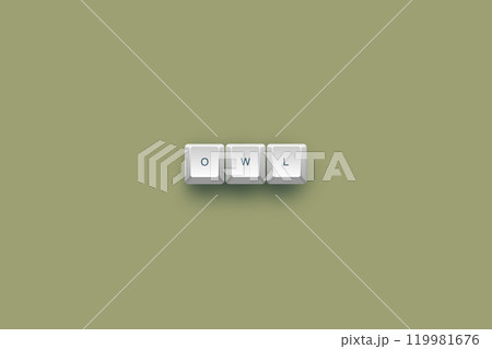 Owl text on a 3d keyboard button with shadow concept series  119981676
