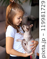 A joyful scene of a young girl playing with her adorable Sphynx cats. The unique, hairless cats are playfully interacting with her, creating a delightful atmosphere filled with laughter and affection. 119981729