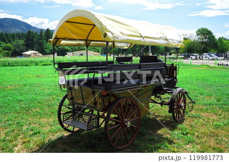 夏の深緑のメタセコイア並木道の傍に留め置かれた幌馬車 119981773