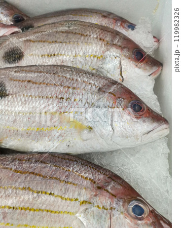 Fresh fish Fresh fish 119982326