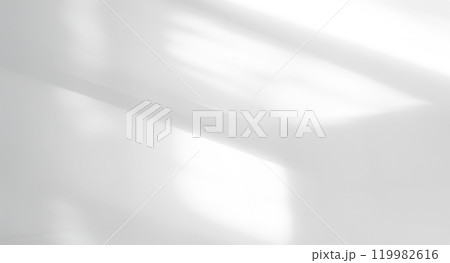 Shadow Background Sunlight Wall Light White Backdrop Plant Overlay Sunlight Mockup Sun Minimal Gray Template Summer Black Photography Modern Floor 3d Bg Cement Minimal Product Empty Vintage Surface. Shadow Background Sunlight Wall Light White Backdrop Plant Overlay Sunlight Mockup Sun Minimal Gray Template Summer Black Photography Modern Floor 3d Bg Cement Minimal Product Empty Vintage Surface. 119982616