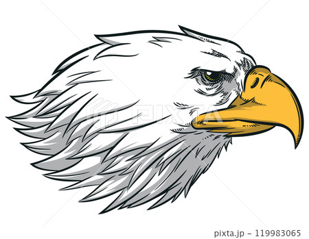 Eagle Bald Face Side View Profile 119983065