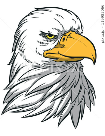 Eagle Head American Patriotic Hawk Bird 119983066