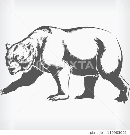 Silhouette Grizzly Brown Bear Walking Stencil Isolated Vector Drawing 119983091