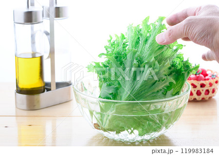 徳島県産　フリルアイス （ レタス ）シャキシャキ食感のれたすです。 119983184