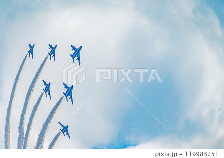 ブルーインパルス（かわさき飛躍祭） 119983251