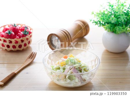 コールスローサラダ （ キャベツサラダ ） 119983350