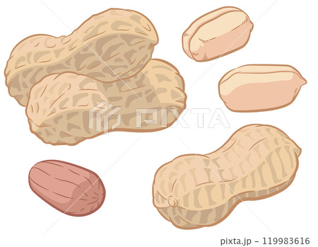 Peanuts Isolated Seed Nutshell Pod Cartoon Peanuts Isolated Seed Nutshell Pod Cartoon 119983616