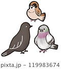 カラス　雀　鳩　まとめ 119983674