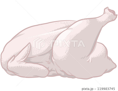 Chicken Raw Meat Whole Side View 119983745