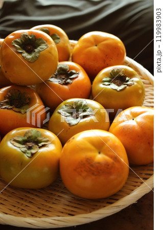 たくさんの柿(2) 119983903