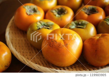 たくさんの柿(4) たくさんの柿(4) 119983905