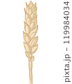 Wheat Stalk Rice Ear Straw Cartoon 119984034