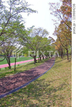 《兵庫県》北神戸　しあわせの村新緑の風景 119984236