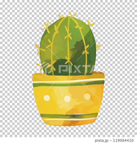 Watercolor cactus illustration 119984410