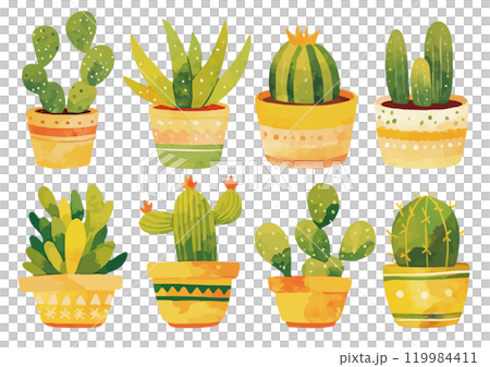 Watercolor cactus illustration 119984411