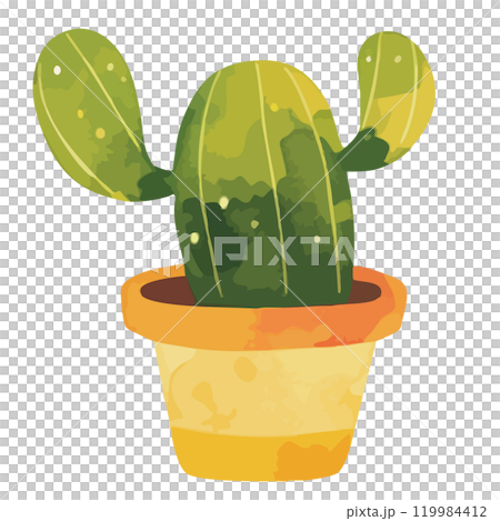 Watercolor cactus illustration 119984412