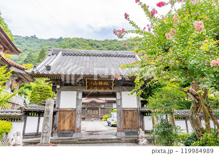 板橋山　照源寺　山門 119984989