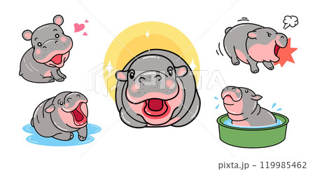 Hippo cartoon, hippopotamus, characters, vector illustration 119985462