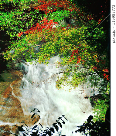 秋の紅葉が美しい散歩道 119985772