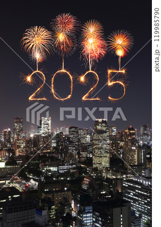 2025 happy new year fireworks over Tokyo cityscape at night, Japan. 2025 happy new year fireworks over Tokyo cityscape at night, Japan. 119985790