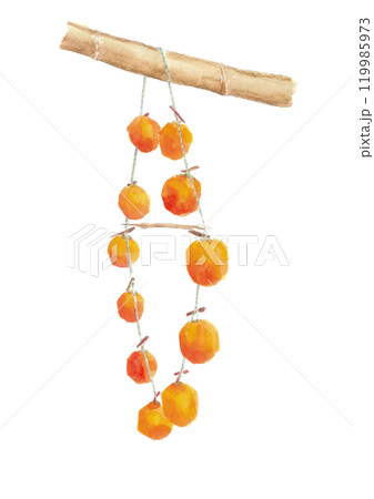 水彩で描いた吊るし柿【手描き】白バック 透過背景 119985973