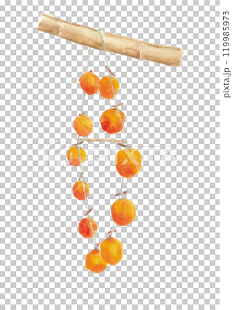 水彩で描いた吊るし柿【手描き】白バック 透過背景 119985973