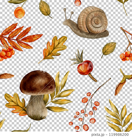 Seamless autumn watercolor pattern with hand drawn snails, mushrooms, leaves, berries, and acorns. Perfect for creating seasonal designs, textiles, packaging, and digital background inspired by nature 119986200