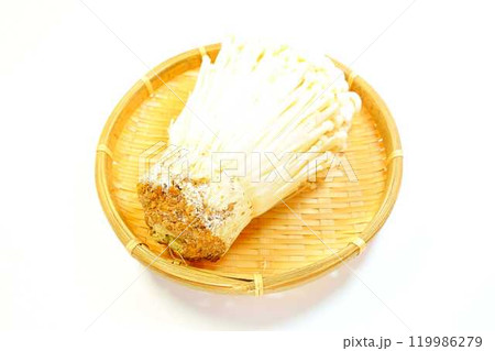 エノキタケ 榎茸 エノキダケ ナメタケ ナメススキ ユキノシタ キノコ きのこ エノキタケ 榎茸 エノキダケ ナメタケ ナメススキ ユキノシタ キノコ きのこ 119986279