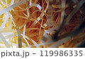 細い紙テープの塊　緩衝材 119986335