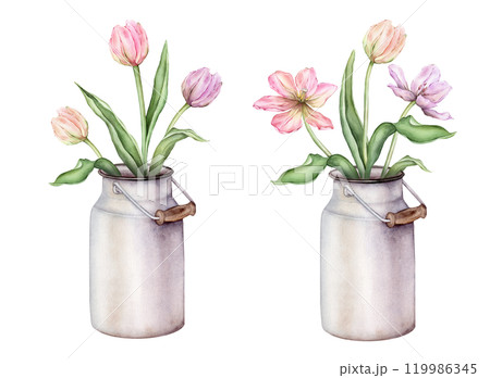 Pastel multi-colored set of bud bouquet Tulips in metal can watercolor illustration isolated on background. Hand drawn delicate perennial bulbous pink yellow purple flower for spring design or card. 119986345